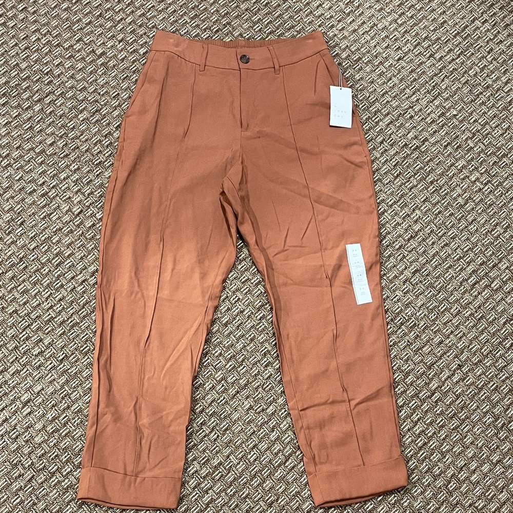 a new day Women's Terracotta Slim Ankle Pants
